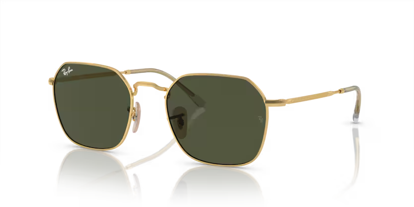 Ray-Ban RB3694