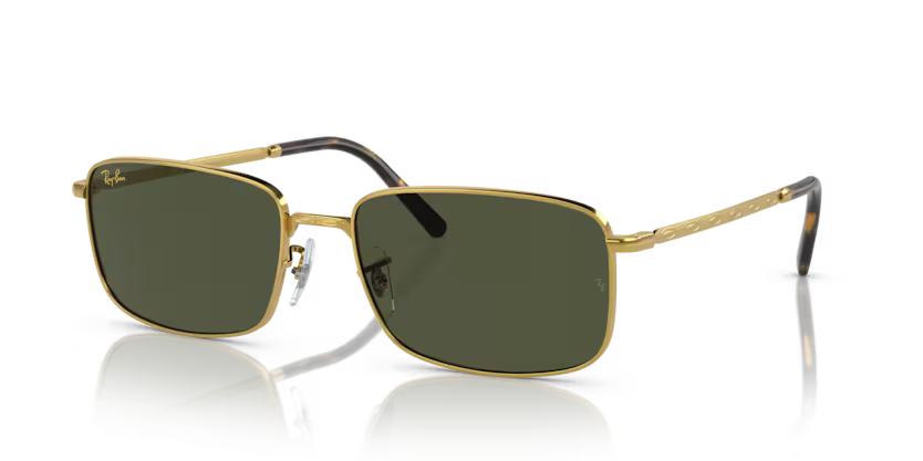 Ray-Ban RB3717