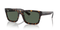 Ray-Ban RB4396