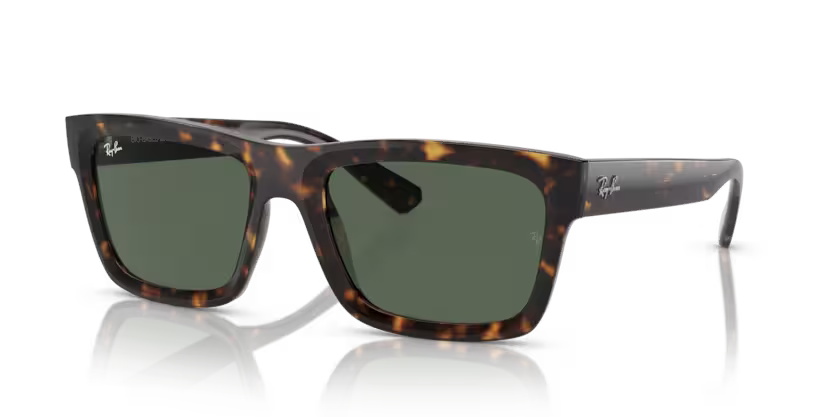 Ray-Ban RB4396