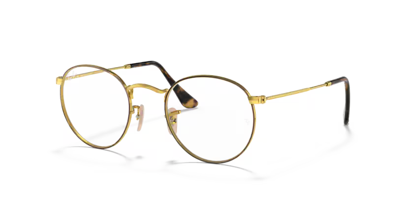 Ray-Ban RX3447V