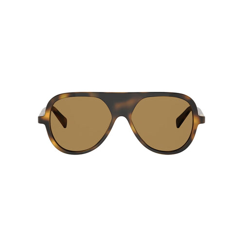 Celine CL40366I 53J | ALGEA Optika