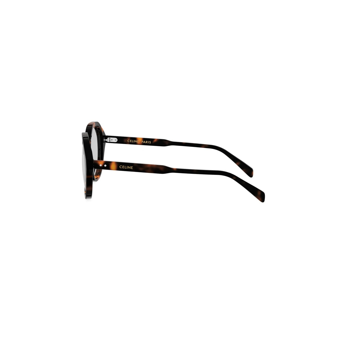 Celine CL50167I 052 | ALGEA Optika