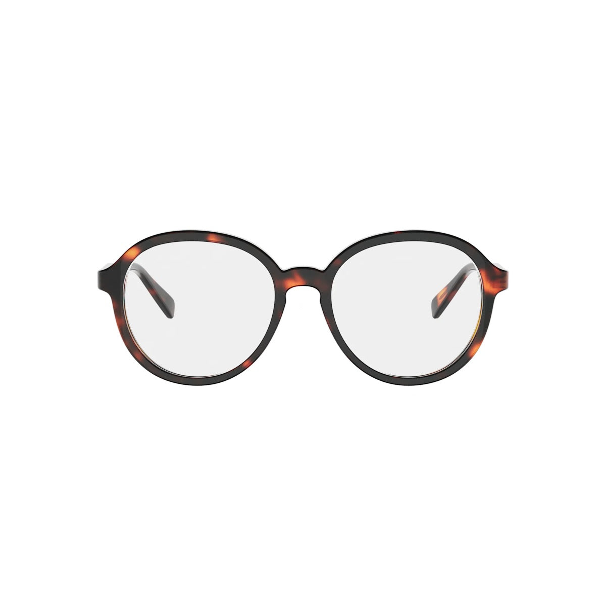 Celine CL50187I 052 | ALGEA Optika