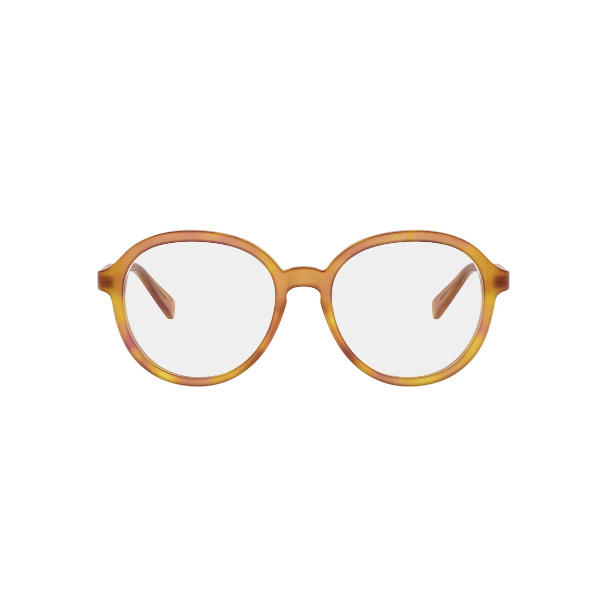 Celine CL50187I 053 | ALGEA Optika